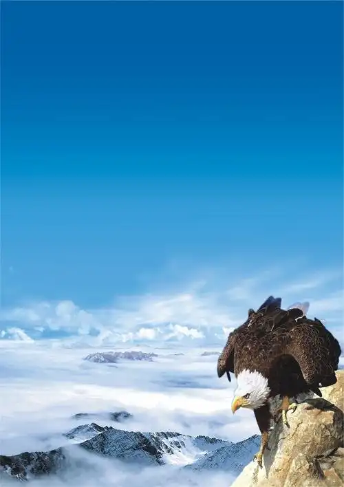 怎样判断空调是否需要加雪种呢